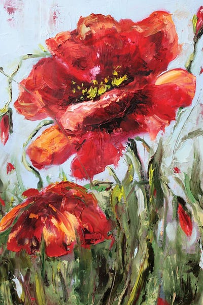 Alexandra Jagoda: Poppies by Alexandra Jagoda
