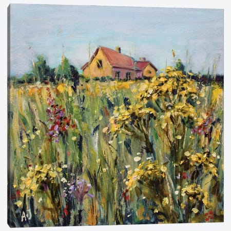 Tansy In The Meadow Canvas Print #AJG133} by Alexandra Jagoda Canvas Artwork