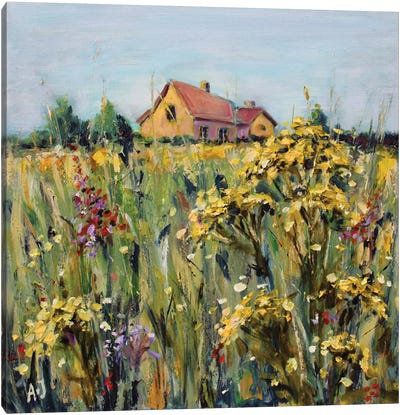 Tansy In The Meadow Canvas Art Print - Alexandra Jagoda