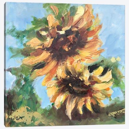 Sunflowers Canvas Print #AJG146} by Alexandra Jagoda Canvas Artwork