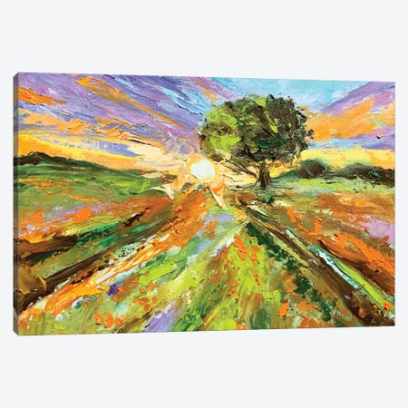 Orange Sunset Canvas Print #AJG152} by Alexandra Jagoda Canvas Artwork
