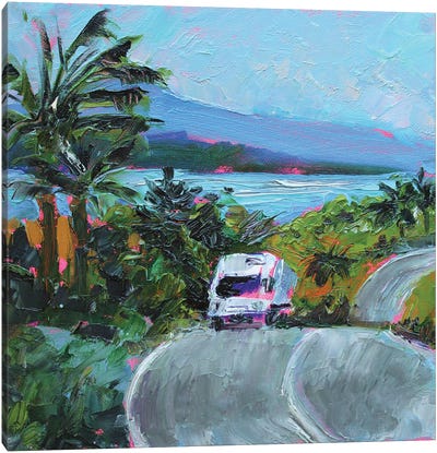 Hawaii Road Canvas Art Print - Pops of Pink