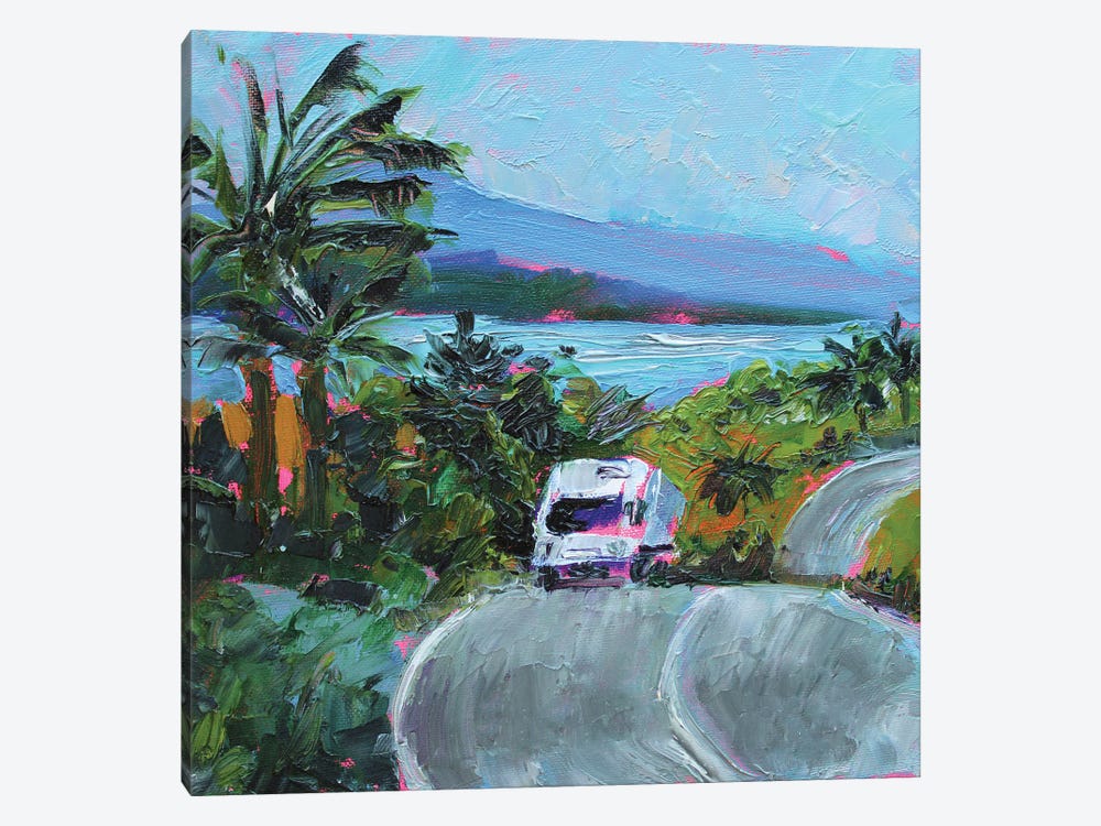 Hawaii Road by Alexandra Jagoda 1-piece Canvas Artwork