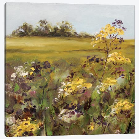 In The Meadow Canvas Print #AJG20} by Alexandra Jagoda Canvas Art