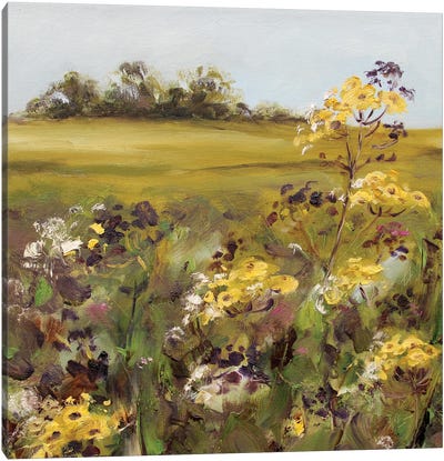 In The Meadow Canvas Art Print - Alexandra Jagoda
