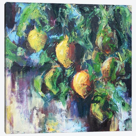 Lemon Tree Canvas Print #AJG25} by Alexandra Jagoda Canvas Print