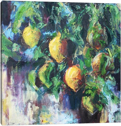 Lemon Tree Canvas Art Print - Alexandra Jagoda