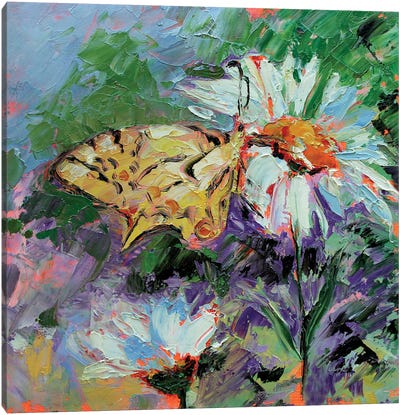 Butterfly Canvas Art Print - Daisy Art