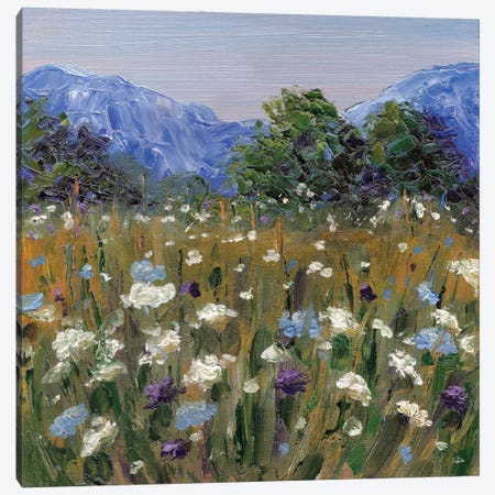 Blue Mountains Canvas Print #AJG30} by Alexandra Jagoda Canvas Art Print