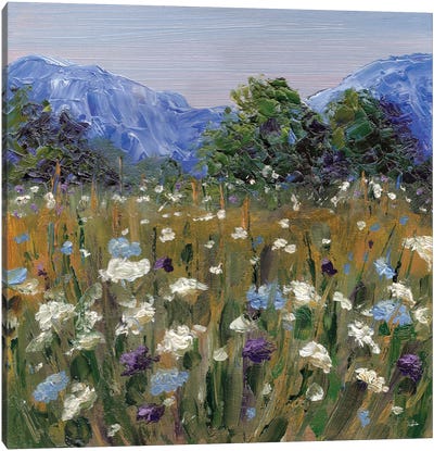 Blue Mountains Canvas Art Print - Alexandra Jagoda