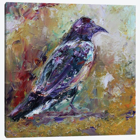Raven Canvas Print #AJG47} by Alexandra Jagoda Canvas Print