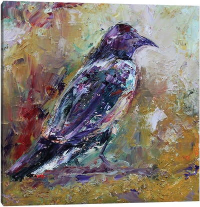 Raven Canvas Art Print - Alexandra Jagoda