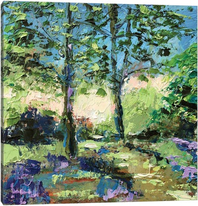 Spring In The Forest Canvas Art Print - Alexandra Jagoda
