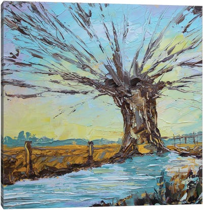 Tree Of Life Canvas Art Print - Alexandra Jagoda