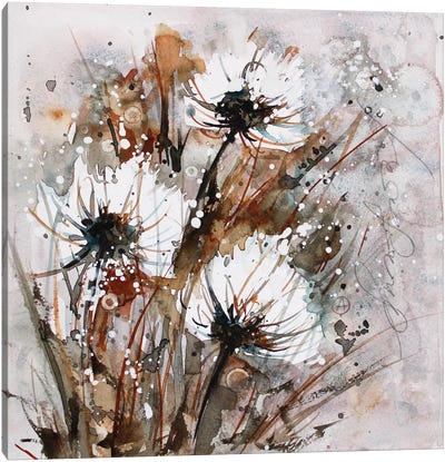 Wildflowers And Herbs Canvas Art Print - Alexandra Jagoda