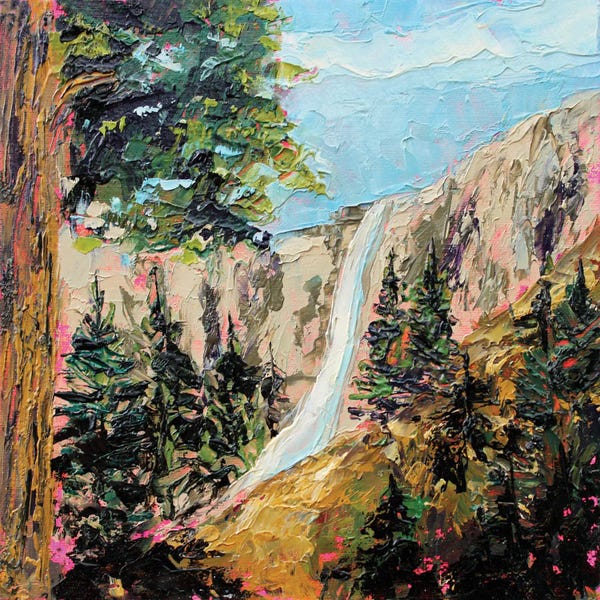 Pops Of Pink: Yosemite by Alexandra Jagoda