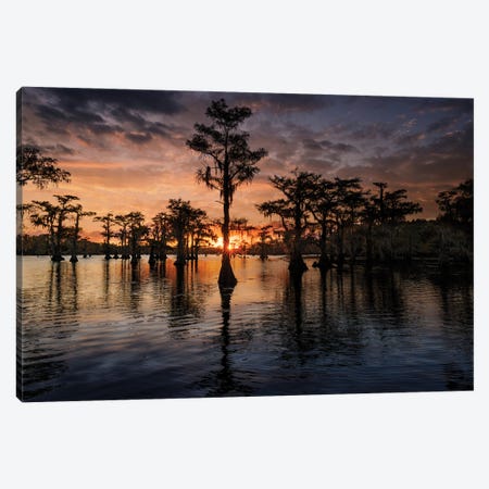 Bald Cypress Trees Silhouetted At Sunset. Caddo Lake, Uncertain, Texas Canvas Print #AJO122} by Adam Jones Canvas Art