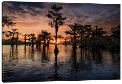 Bald Cypress Trees Silhouetted At Sunset. Caddo Lake, Uncertain, Texas Canvas Art Print - Lake & Ocean Sunrise & Sunset Art