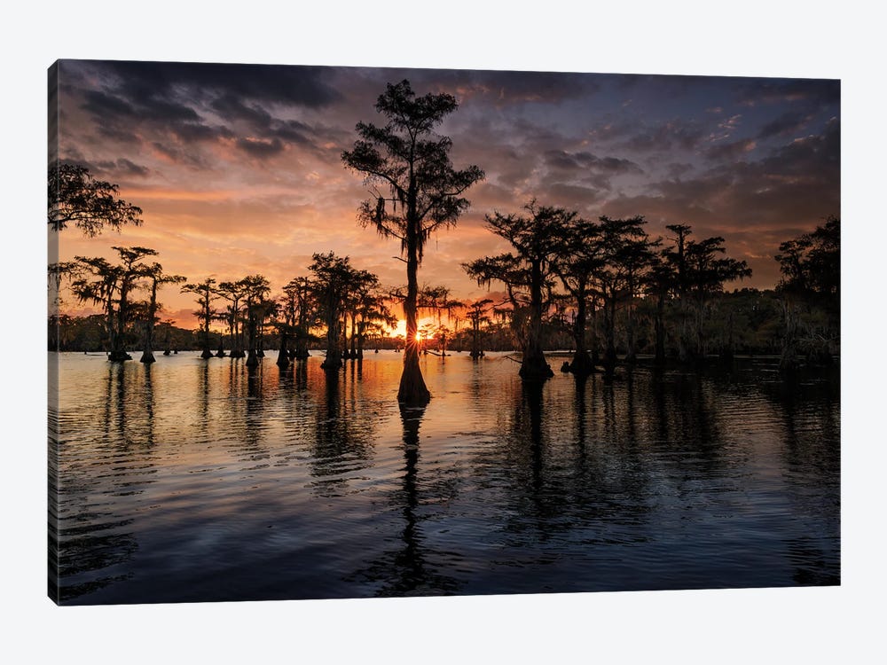Bald Cypress Trees Silhouetted At Sunset. Caddo Lake, Uncertain, Texas by Adam Jones 1-piece Canvas Print