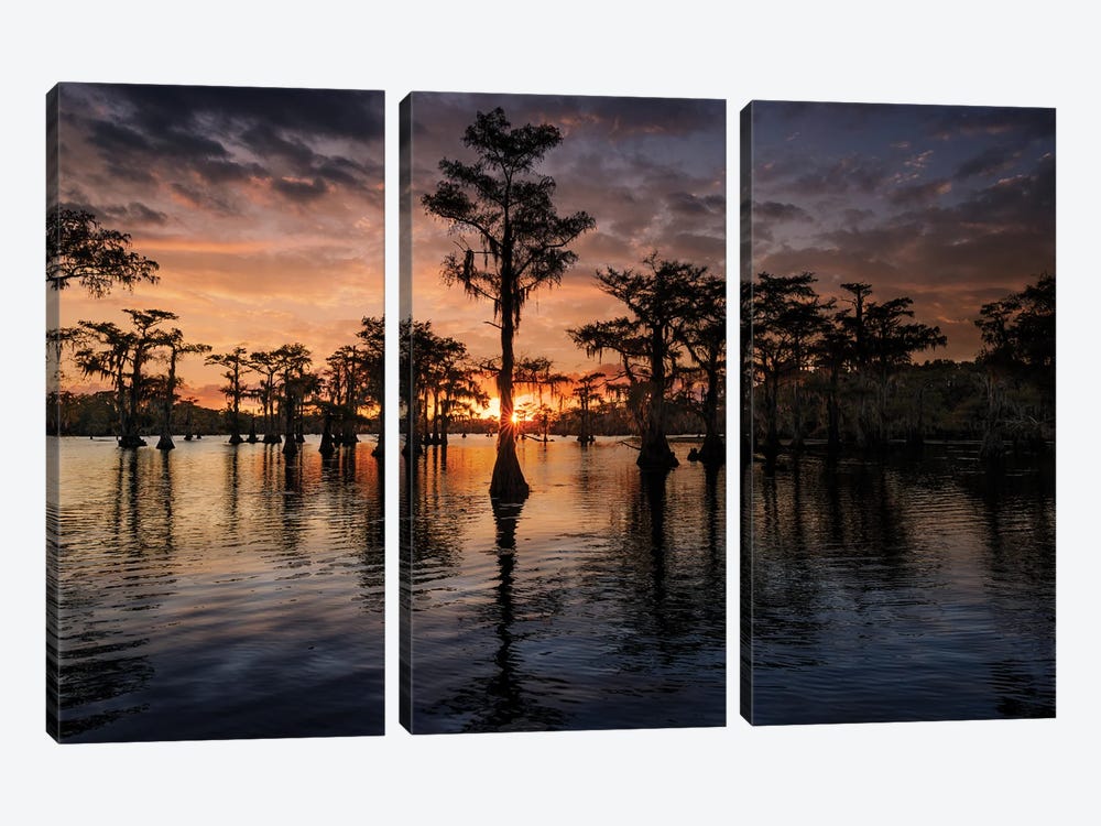Bald Cypress Trees Silhouetted At Sunset. Caddo Lake, Uncertain, Texas by Adam Jones 3-piece Canvas Art Print