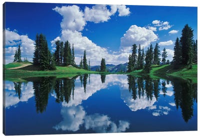 Forest Landscape And Its Reflection, Gunnison National Forest, Colorado, USA Canvas Art Print