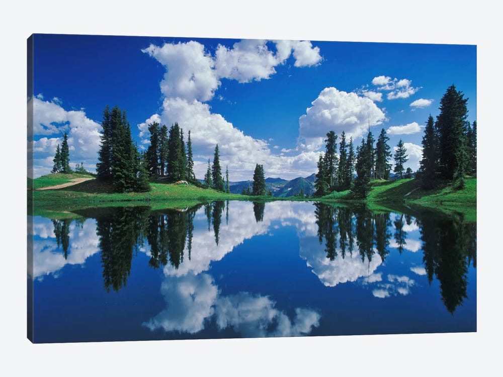 Forest Landscape And Its Reflection, Gunnison National Forest, Colorado, USA by Adam Jones 1-piece Canvas Art