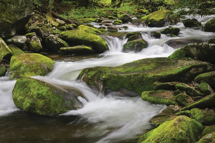 Cascading Mountain Stream, Great Smoky Mountains National Park, Tennessee, North Carolina