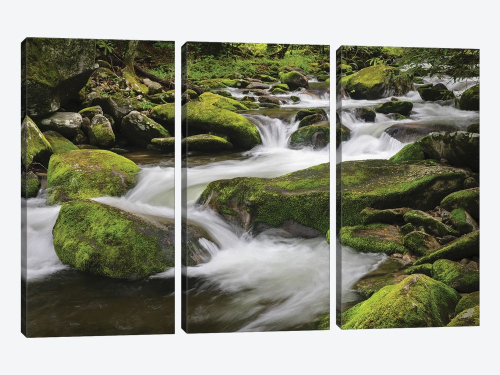 Cascading Mountain Stream, Great Smoky Mountains National Park, Tennessee, North Carolina by Adam Jones 3-piece Canvas Artwork