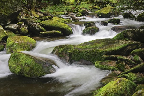 Appalachian Mountains: Cascading Mountain Stream, Great Smoky Mountains National Park, Tennessee, North Carolina by Adam Jones
