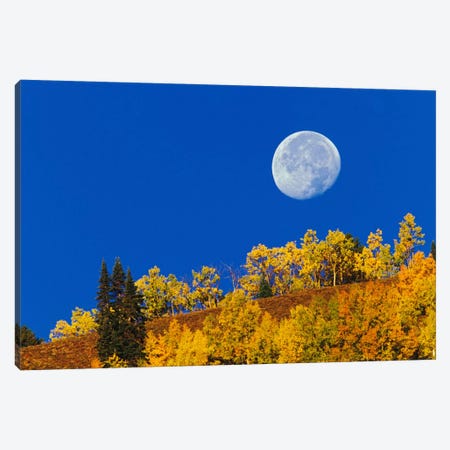 Autumn Moon At Sunrise, Gunnison National Forest, Colorado, USA Canvas Print #AJO13} by Adam Jones Canvas Art Print