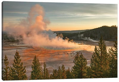 Elevated Sunrise View Of Grand Prismatic Spring And Colorful Bacterial Mat, Yellowstone National Park, Wyoming Canvas Art Print - Yellowstone National Park Art