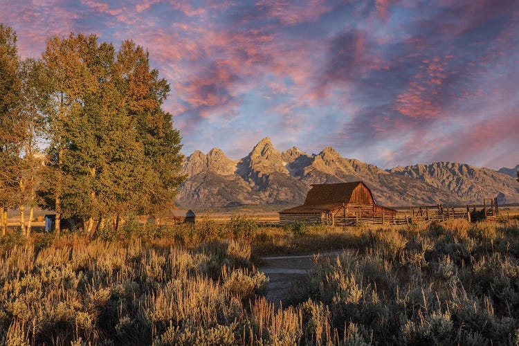 Moulton Barn At Sunrise And Teton Range, Grand Teton National Park, Wyoming