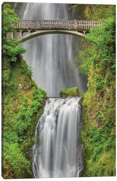 Multnomah Falls, Columbia River Gorge, Oregon Canvas Art Print - Adam Jones