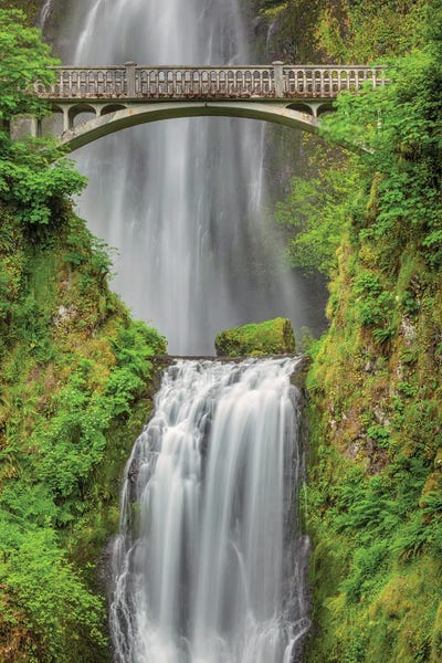 Oregon: Multnomah Falls, Columbia River Gorge, Oregon by Adam Jones