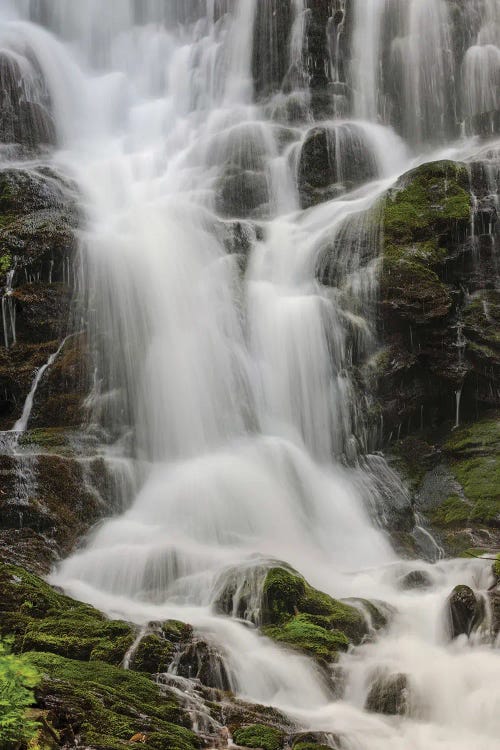 Section Of Mingo Falls, Great Smoky Mountains National Park, Tennessee