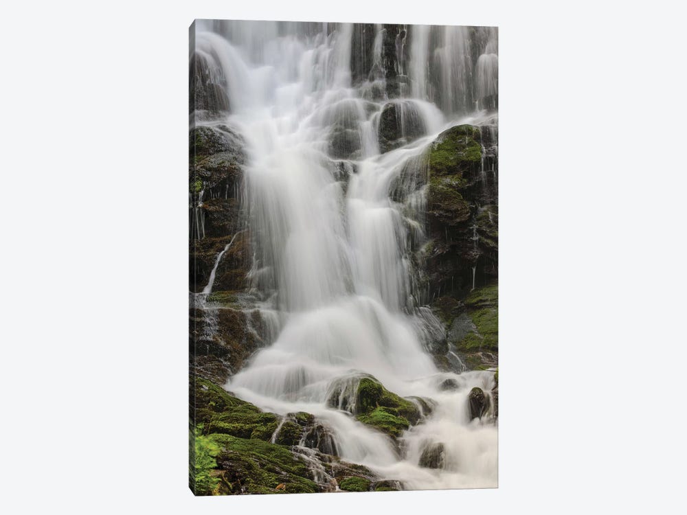 Section Of Mingo Falls, Great Smoky Mountains National Park, Tennessee by Adam Jones 1-piece Canvas Artwork