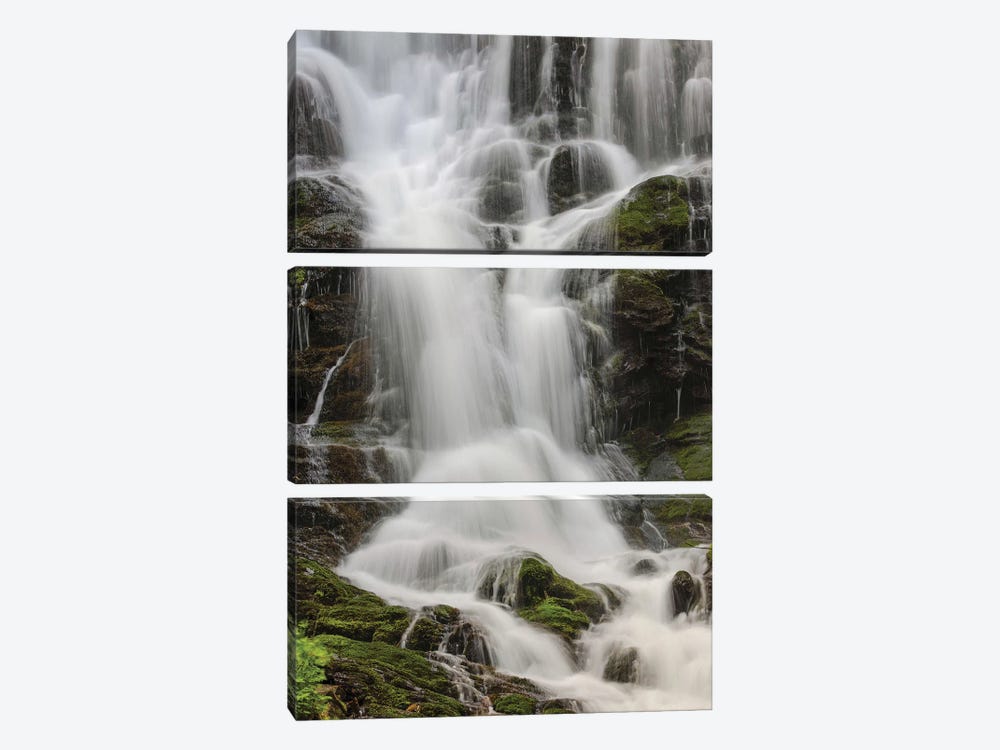 Section Of Mingo Falls, Great Smoky Mountains National Park, Tennessee by Adam Jones 3-piece Canvas Wall Art