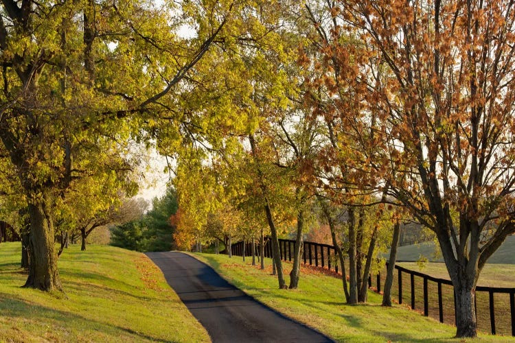 Rural Autumn Landscape I, Bluegrass Region, Kentucky, USA by Adam Jones wall art