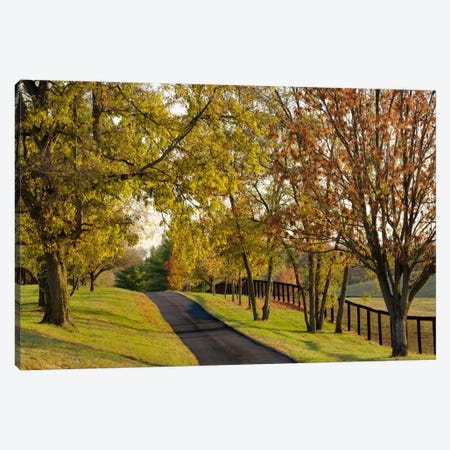 Rural Autumn Landscape I, Bluegrass Region, Kentucky, USA Canvas Print #AJO18} by Adam Jones Canvas Art Print