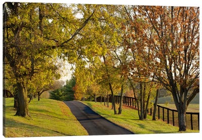 Rural Autumn Landscape I, Bluegrass Region, Kentucky, USA Canvas Art Print - Hill & Hillside Art