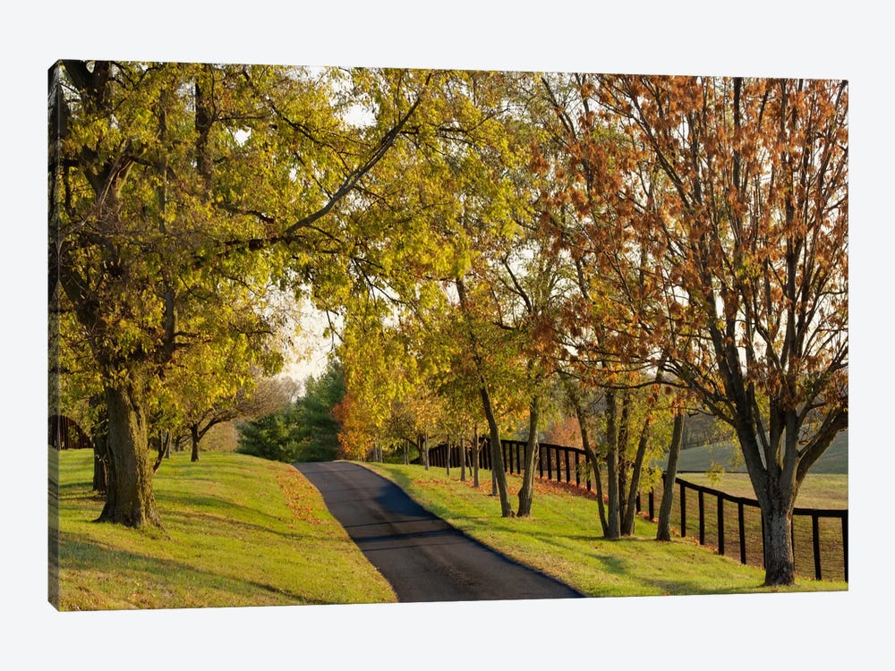 Rural Autumn Landscape I, Bluegrass Region, Kentucky, USA by Adam Jones 1-piece Canvas Wall Art