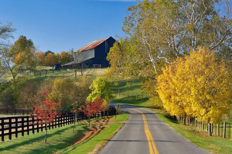 Rural Autumn Landscape II, Bluegrass Region, Kentucky, USA by Adam Jones canvas print