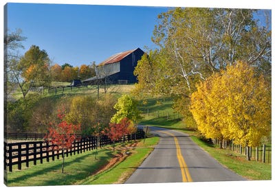 Rural Autumn Landscape II, Bluegrass Region, Kentucky, USA Canvas Art Print - Adam Jones