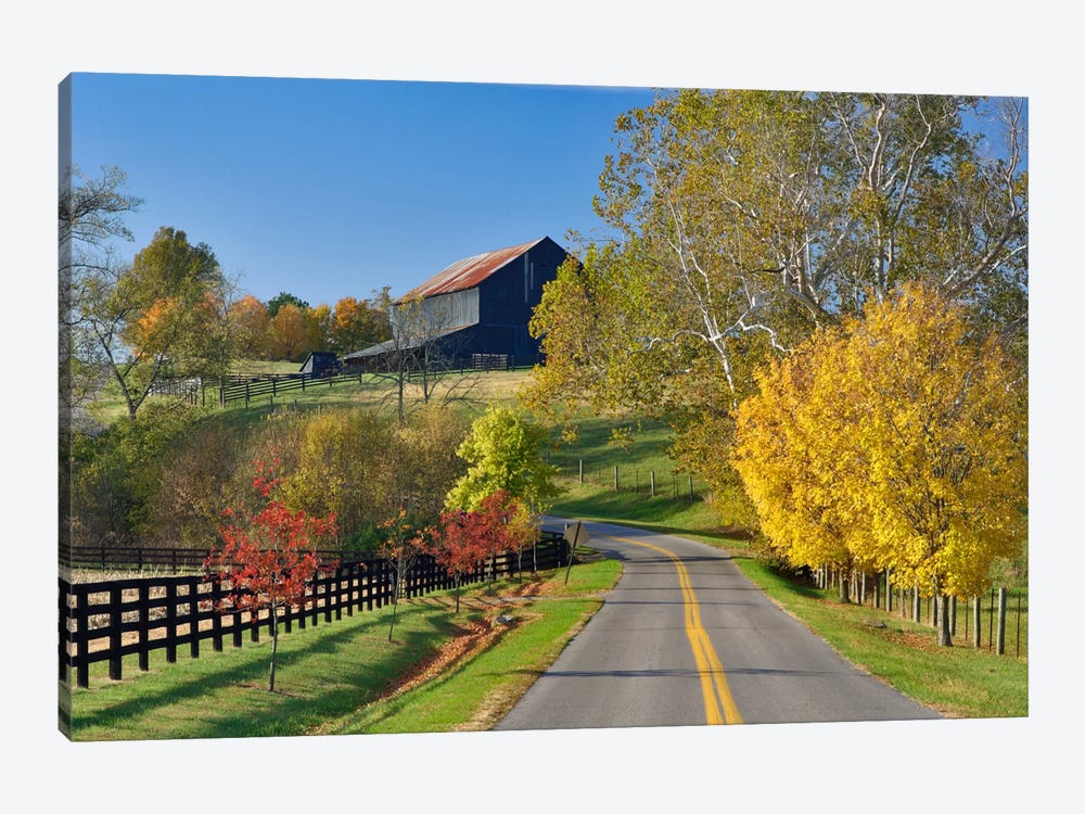 Rural Autumn Landscape II, Bluegrass Region, Kentucky, USA by Adam Jones 1-piece Canvas Print