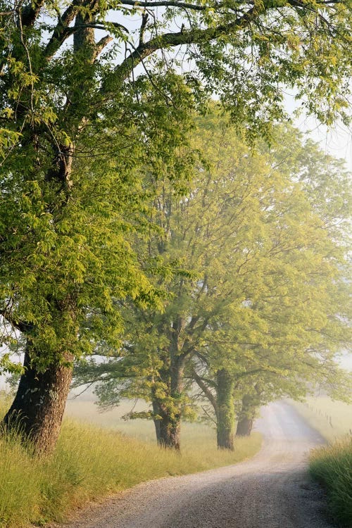 Hyatt Lane, Cades Cove, Great Smoky Mountains National Park, Tennessee, USA by Adam Jones wall art