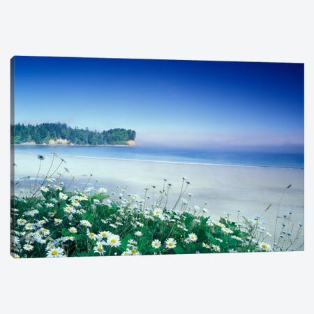 Crescent Beach With Daisies In The Foreground, Port Angeles, Washington, USA Canvas Print #AJO28} by Adam Jones Canvas Artwork