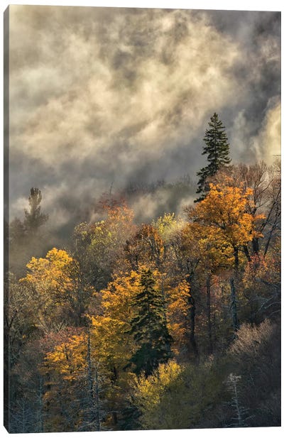 Autumn Colors And Mist At Sunrise, Blue Ridge Mountains At Sunrise, North Carolina Canvas Art Print - Adam Jones