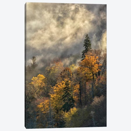 Autumn Colors And Mist At Sunrise, Blue Ridge Mountains At Sunrise, North Carolina Canvas Print #AJO38} by Adam Jones Canvas Print