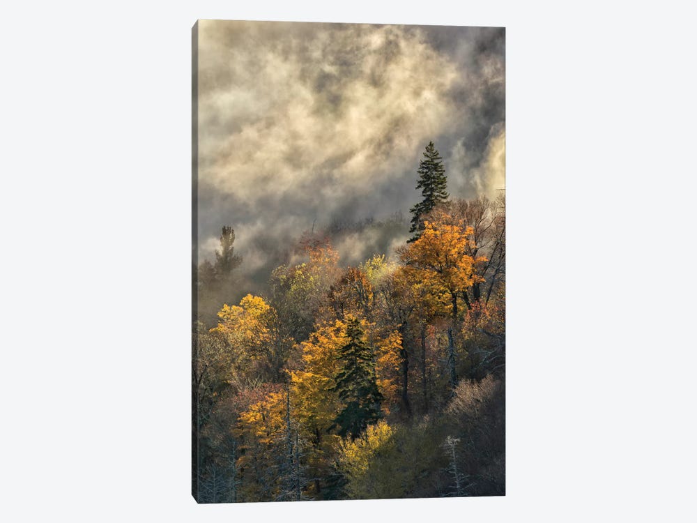 Autumn Colors And Mist At Sunrise, Blue Ridge Mountains At Sunrise, North Carolina by Adam Jones 1-piece Canvas Artwork