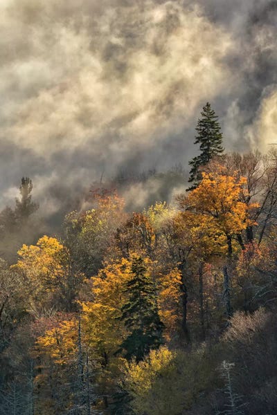 North Carolina: Autumn Colors And Mist At Sunrise, Blue Ridge Mountains At Sunrise, North Carolina by Adam Jones